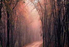 leyu乐鱼体育:一场3:3让国足迎来大喜讯,伊万又有新发现,锋线喜添天才神童.