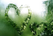 2-1,21岁日本球星利剑出鞘,助昔日英超劲旅晋级足总杯第4轮.