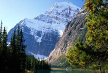 leyu乐鱼体育:LPL第一赛段S赛积分曝光!LNG更换主教练,Faker因冠军皮肤被质疑.